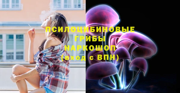 2c-b Беломорск
