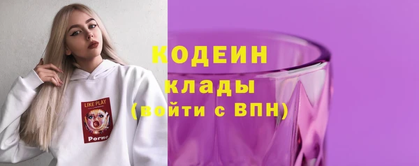 молекула духа Белокуриха