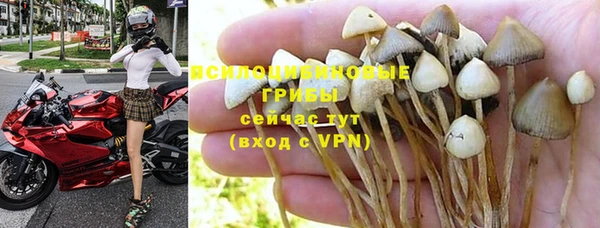 прущие крисы Слюдянка