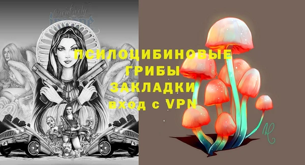 молекула духа Белокуриха