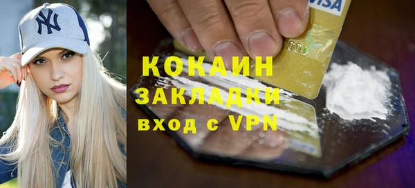 индика Снежинск