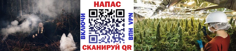Конопля SATIVA & INDICA  хочу   Городовиковск 